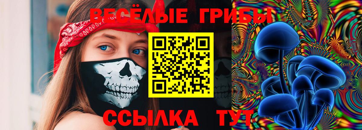 Лянтор  Псилоцибиновые грибы Psilocybine cubensis  Вход с VPN 